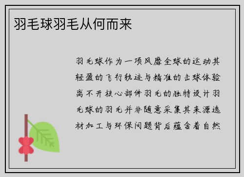 羽毛球羽毛从何而来
